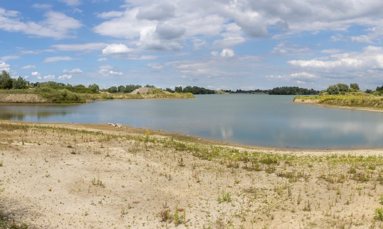 Geleid bezoek aan Wonderwoud