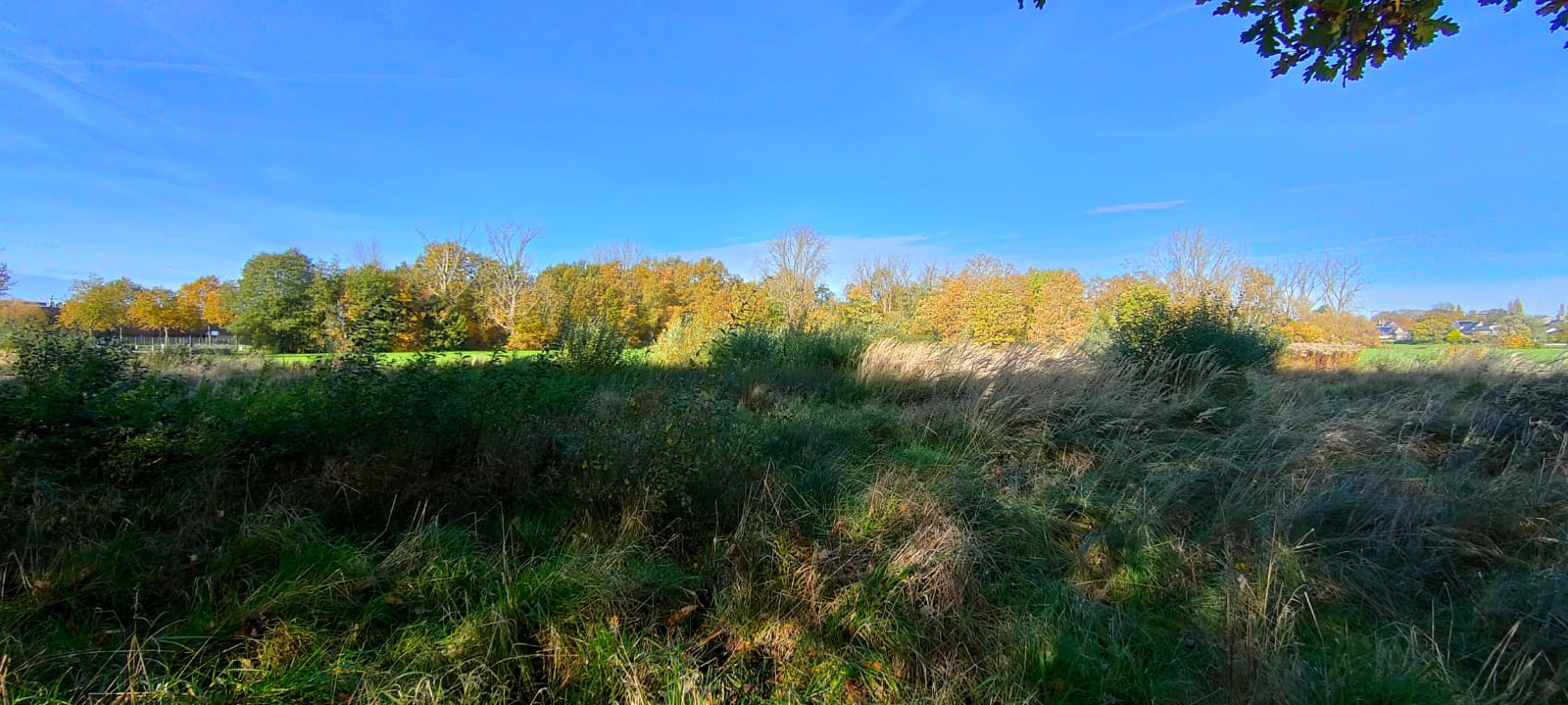 Masterplan Broekhoven blijft in zelfde bedje ziek