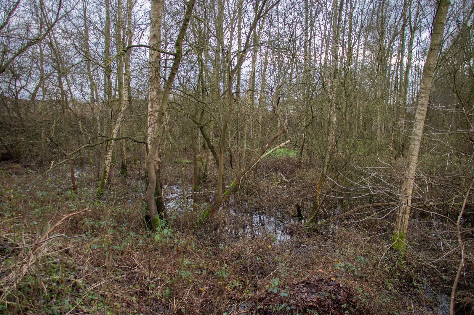Beroep tegen bronbemaling: Matexi mag Broekhoven niet zomaar droogpompen.