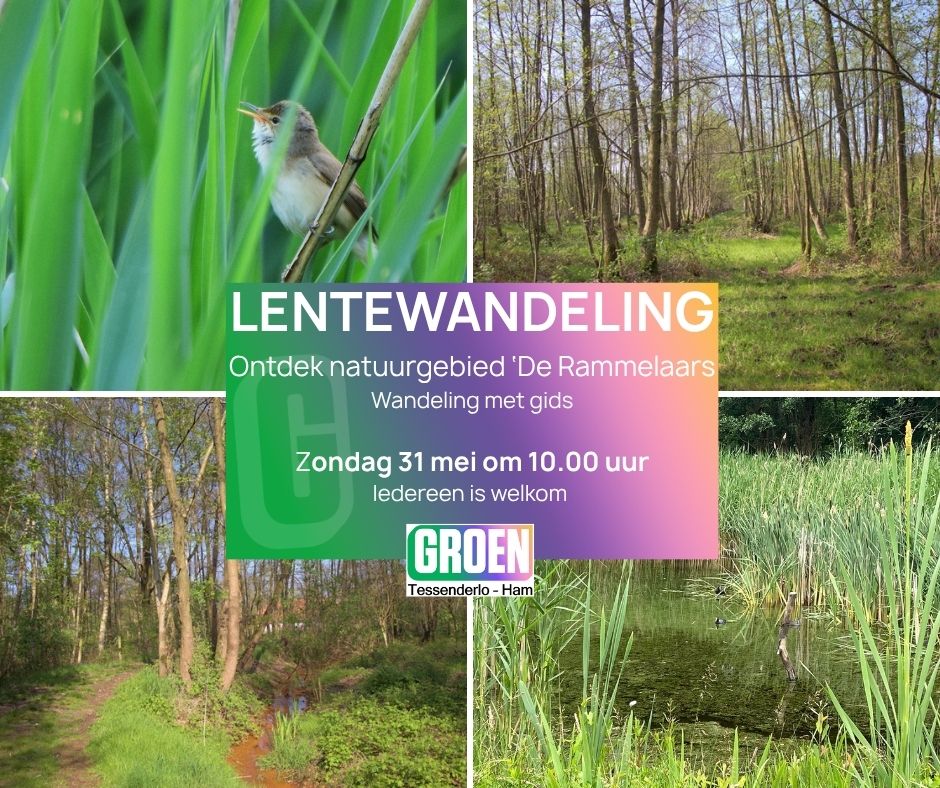 LENTEWANDELING - 31 MEI 10U - DE RAMMELAARS - HAM
