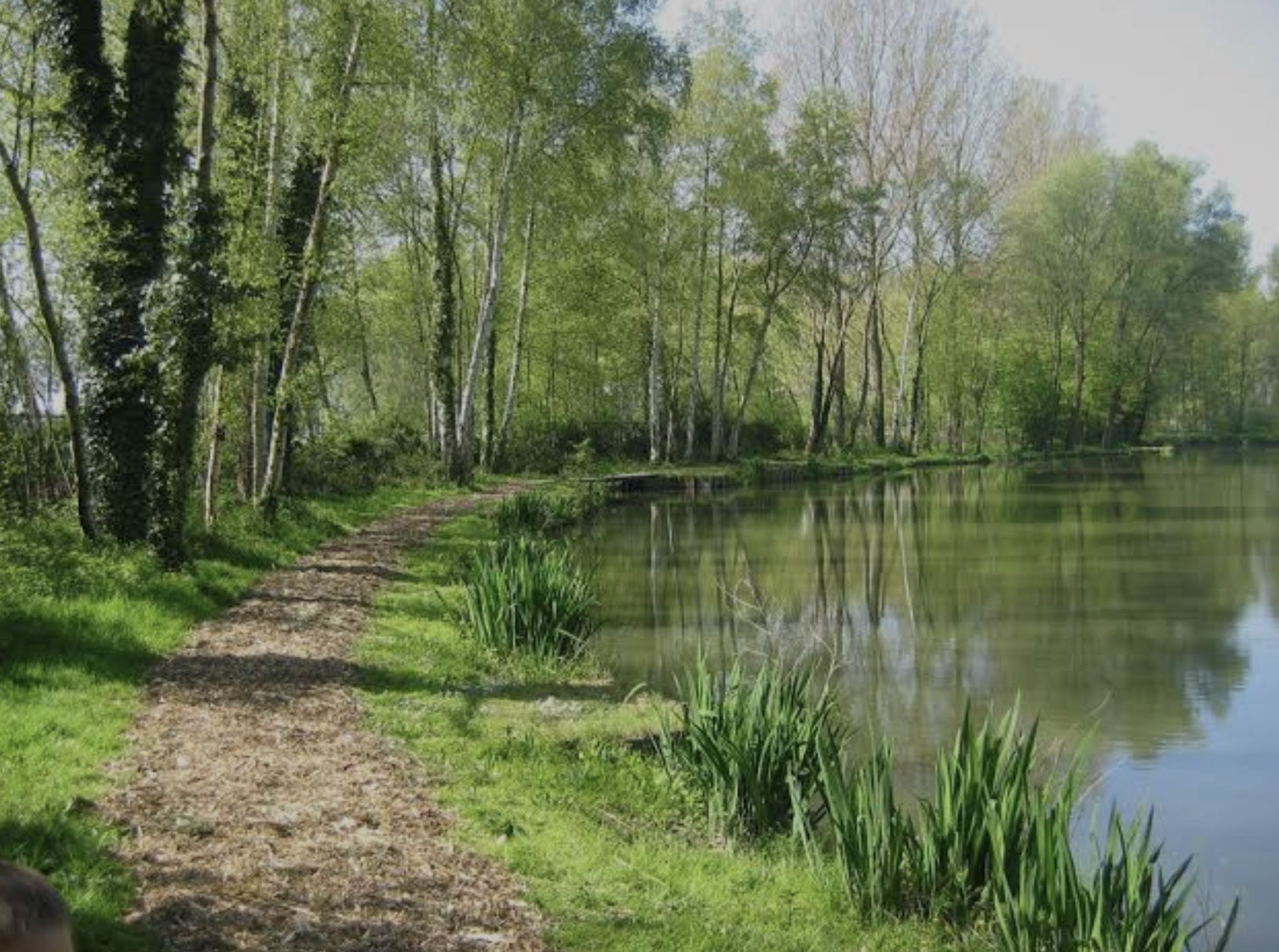 Groen Café Vol. 2: Wandeling Semmerzake 28/09