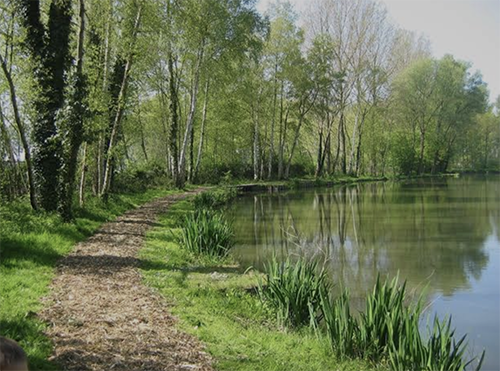 Groen Café Vol. 2: Wandeling Semmerzake 28/09