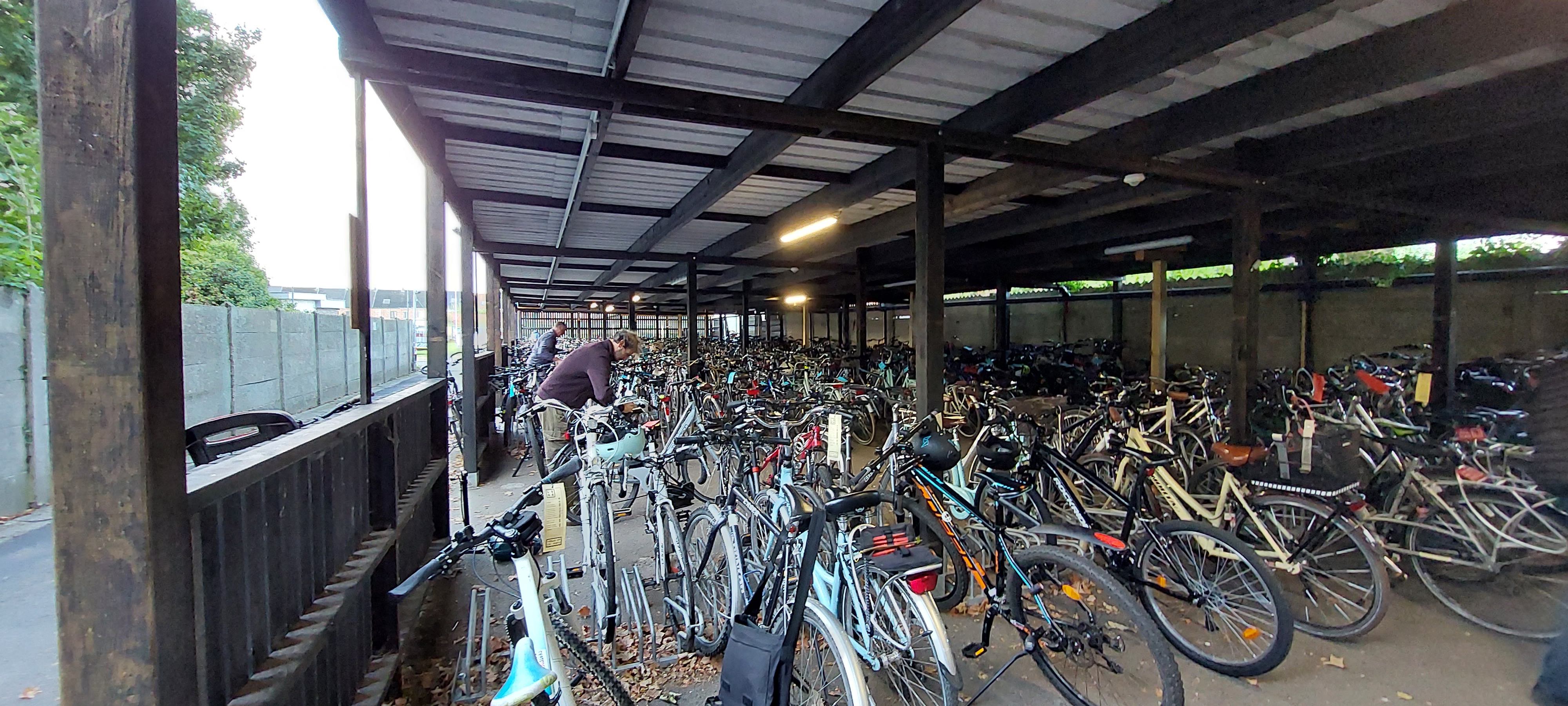 Fiets check-up  in scholen van Lede 