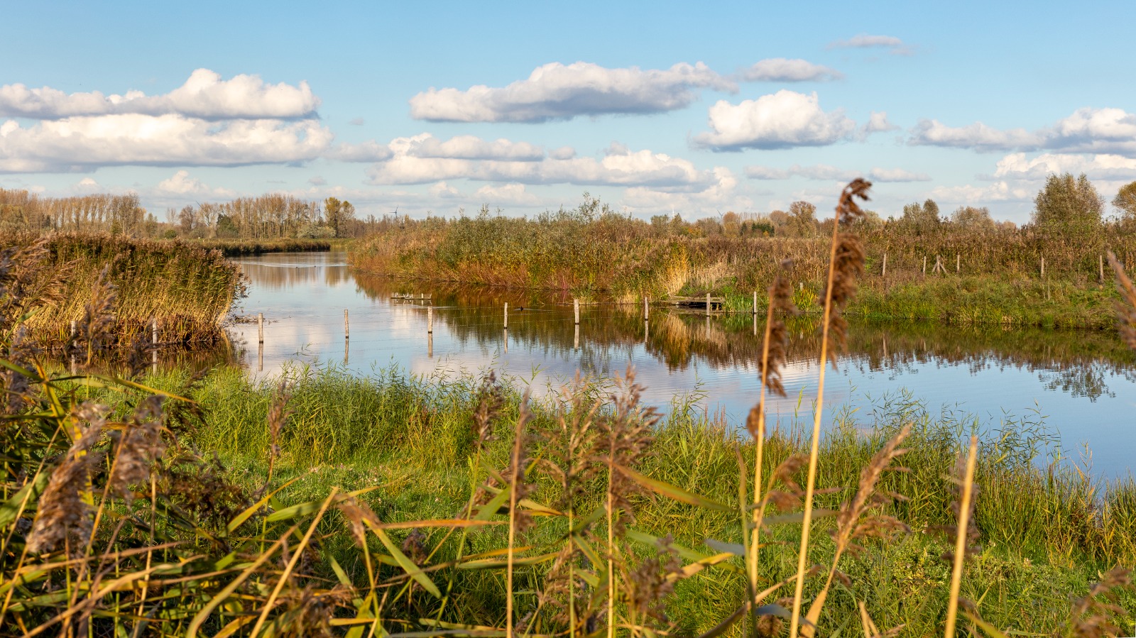 Groen Laarne-Kalken organiseert fietswandeling langs lokale waterlopen op zondag 22 maart 2026