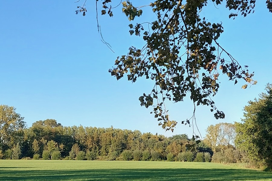 Tumult in de gemeenteraad over het gefaald project sportsite Nederbroek.