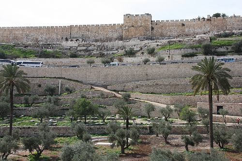 Charlot vanuit Palestina