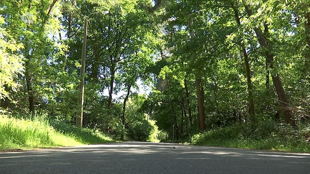 Vakantieparkplannen Lunterberg ook in beroep verworpen