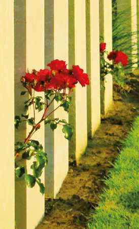 Een handvest voor vrede zonder veto