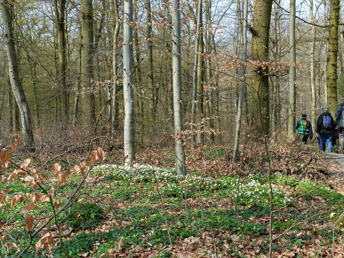 Ecosysteemdiensten en Eloi Glorieux