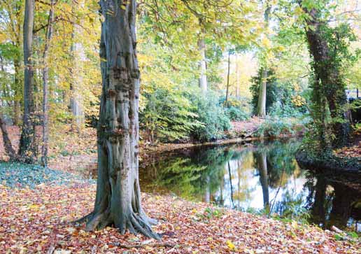 Rechten voor de natuur<br>John Vandaele - Uitgeverij Mammoet