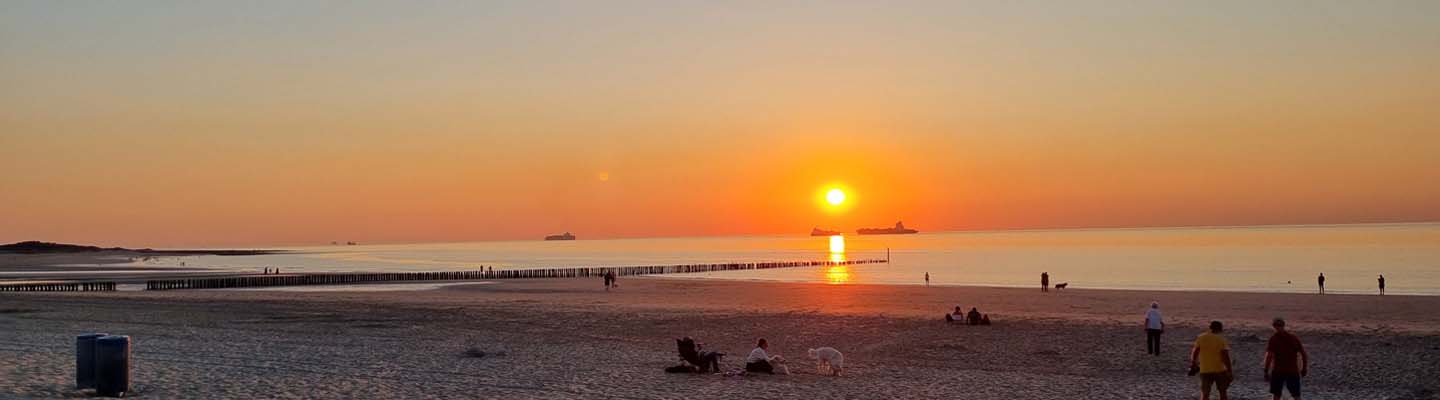 Groen in Aartselaar - zomer 2025