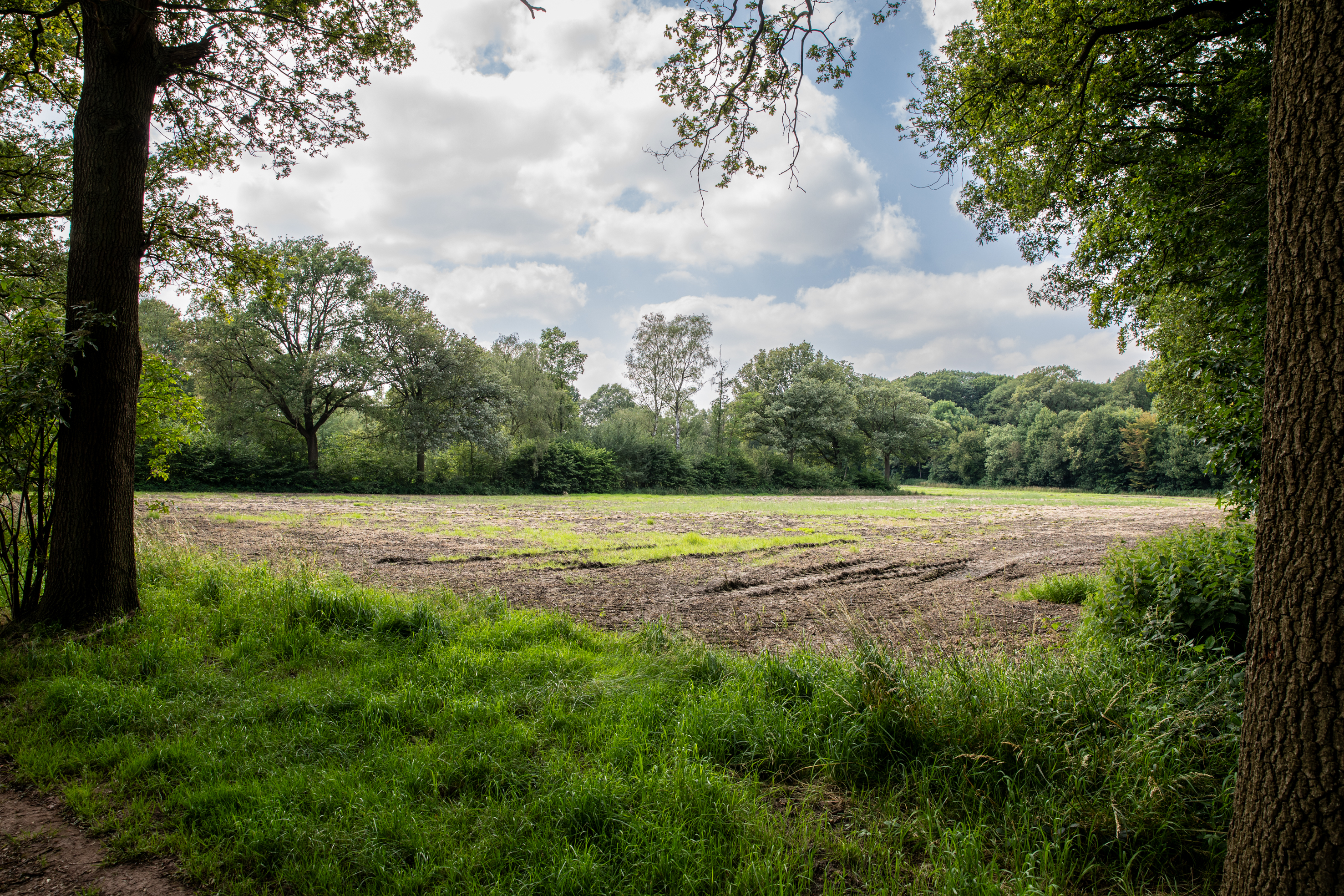 Uitbreiding stadsbos wordt realiteit!