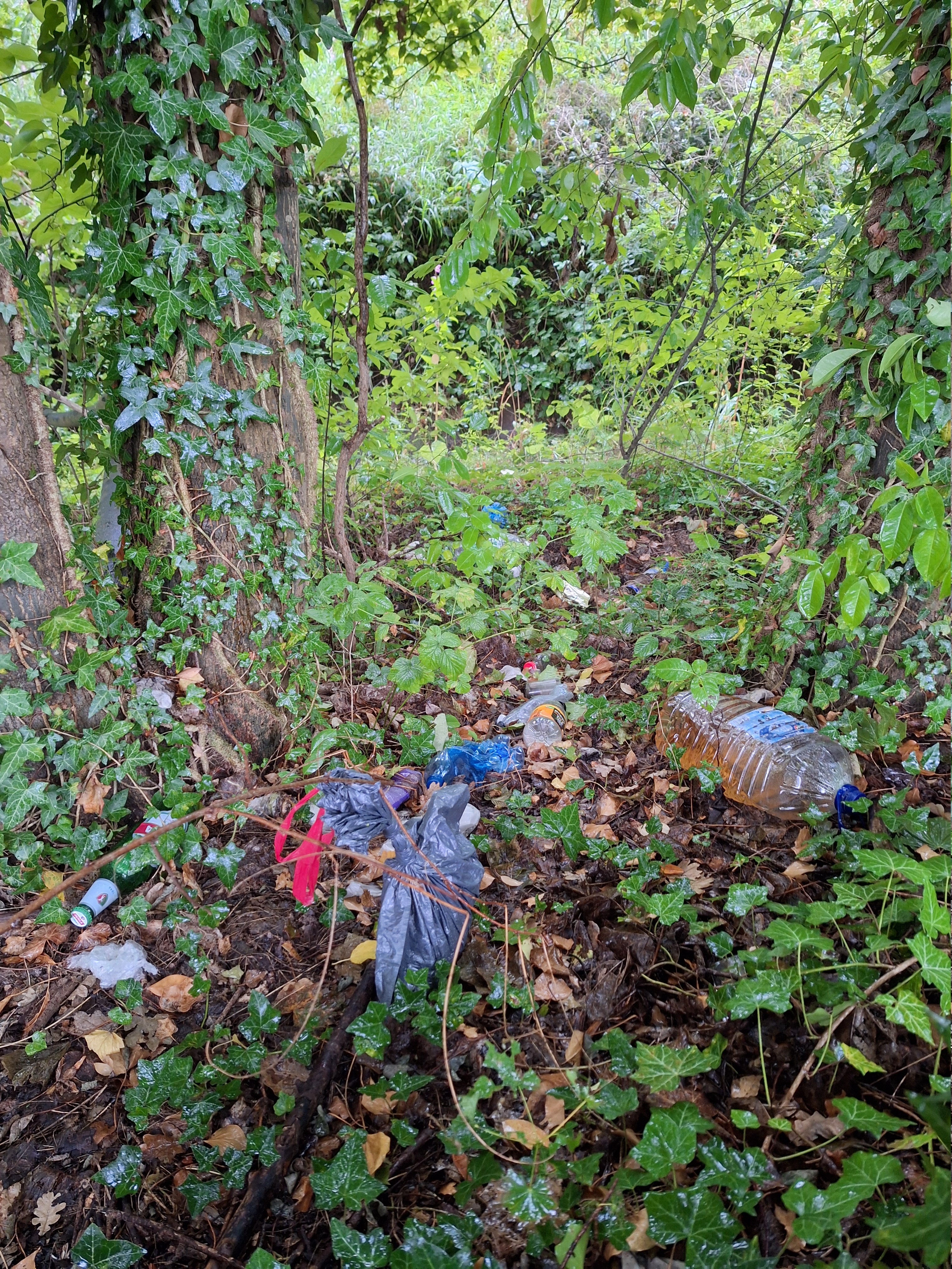 Groen vraagt maatregelen tegen sluikstorten aan oprit E34