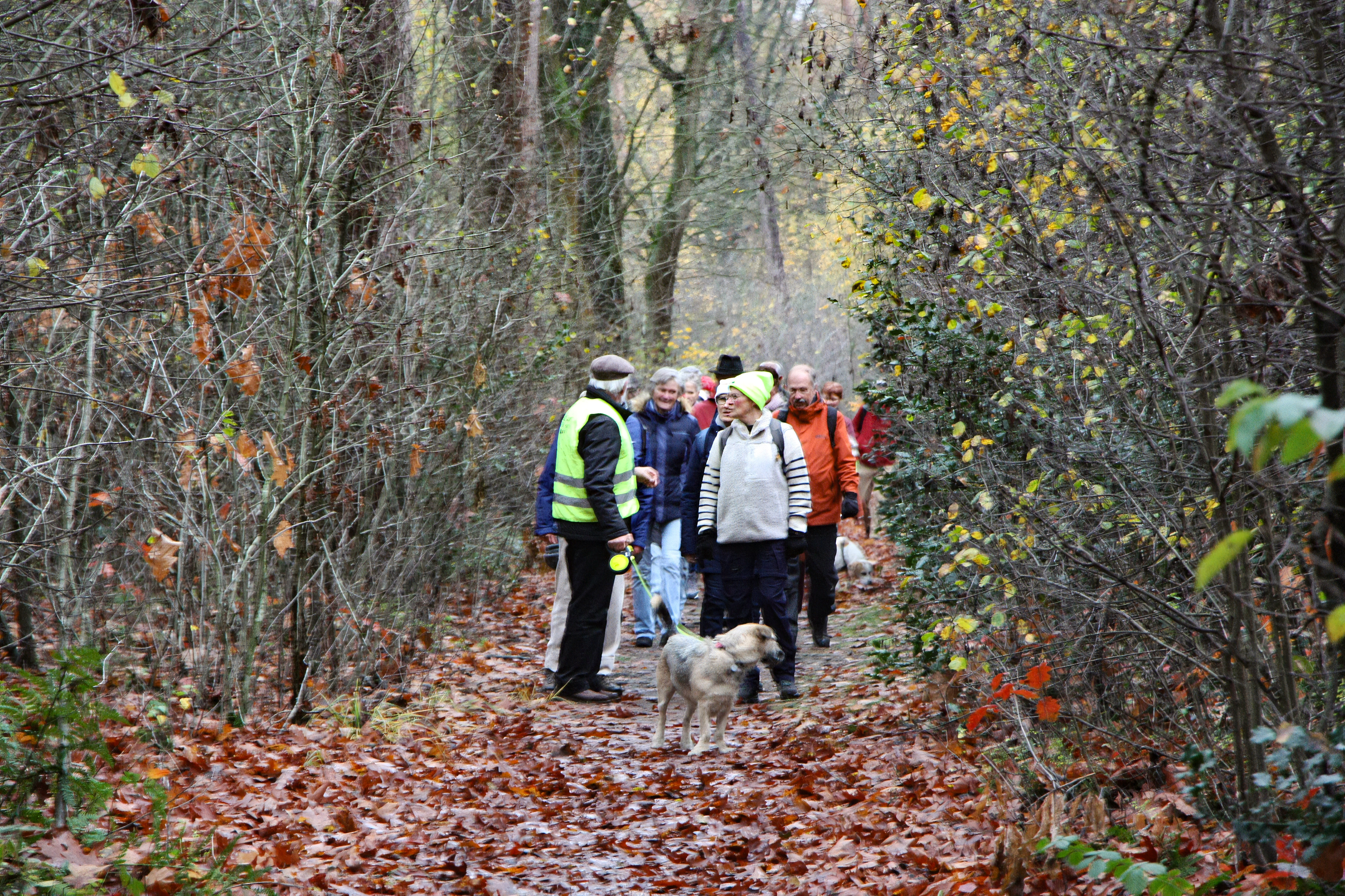 Een geslaagde wandeling