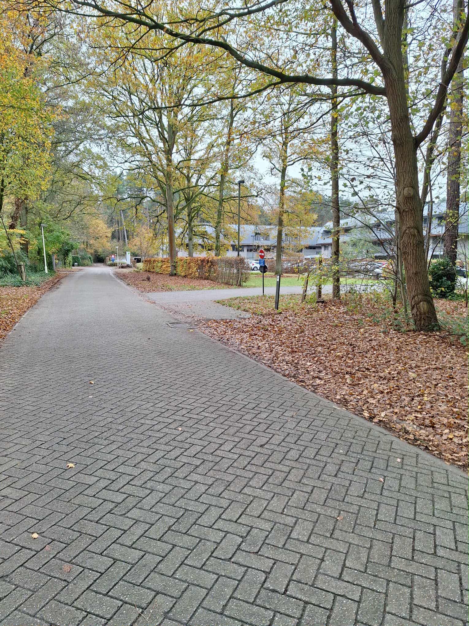 Zone 30 Halmolenweg uitgebreid