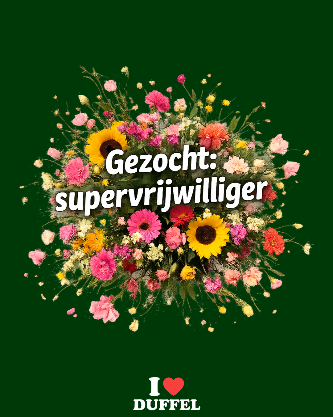 Supervrijwilliger