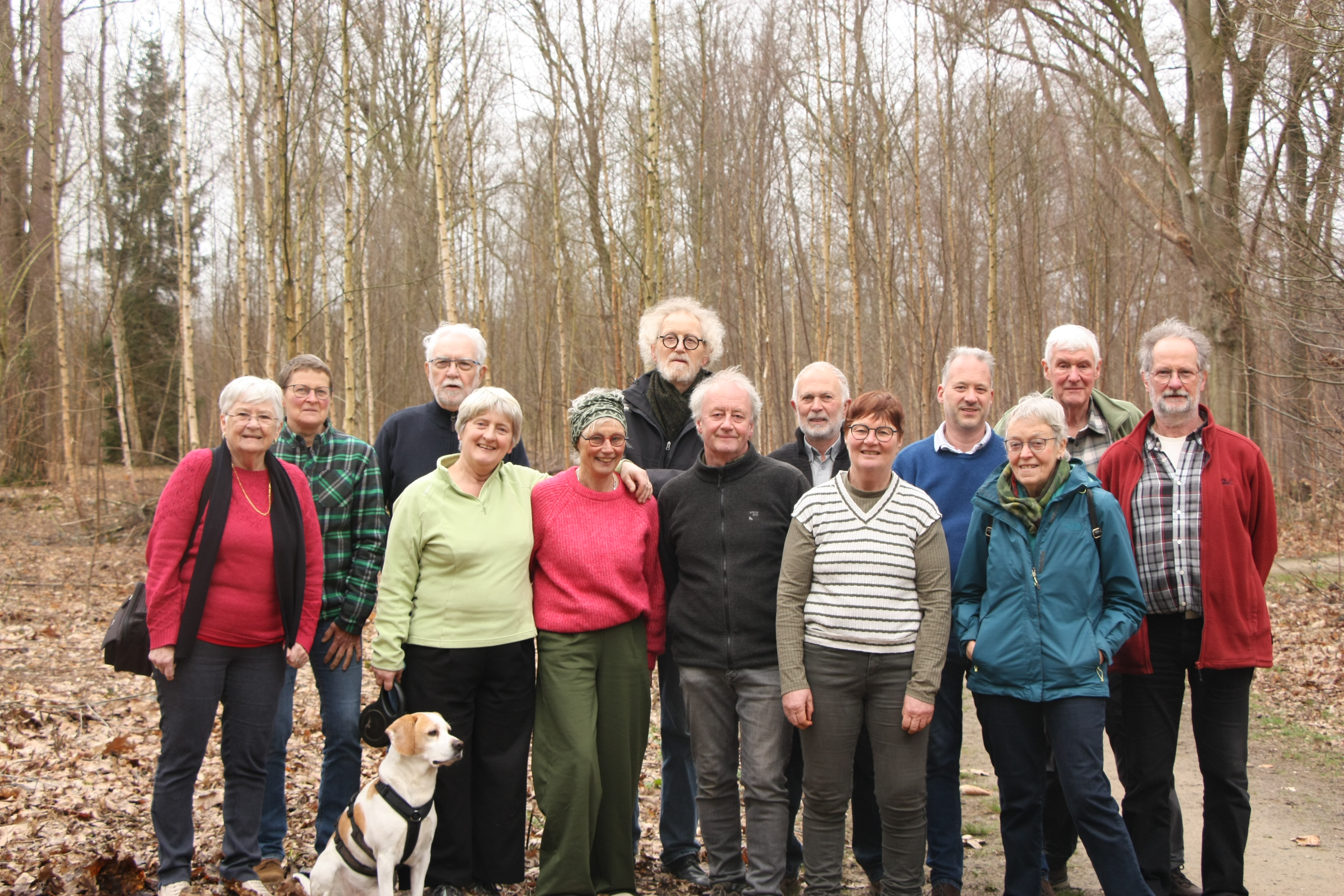 Groen lanceert petitie voor betere bescherming van bomen in Zoersel