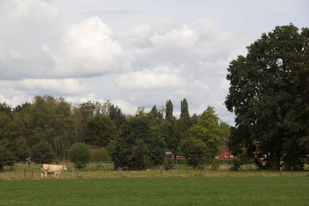 Oud-Turnhout kleurt Groen