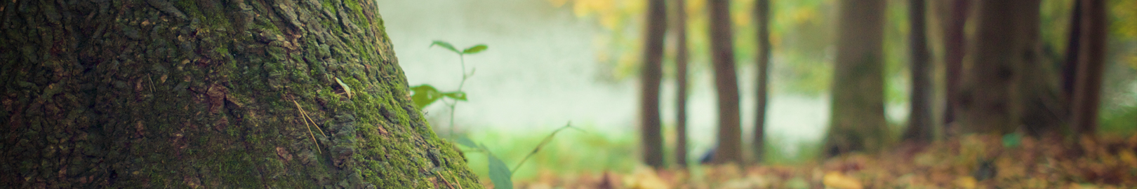 Natuur en milieu