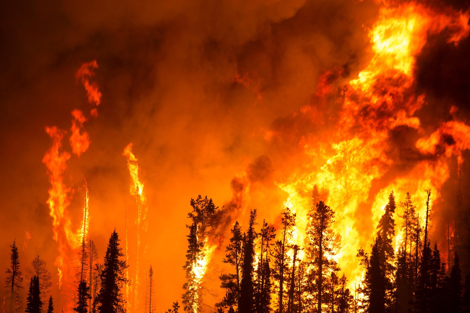 Wereldvluchtelingendag 2025: Klimaatvluchtelingen – de vergeten gezichten van de klimaatcrisis