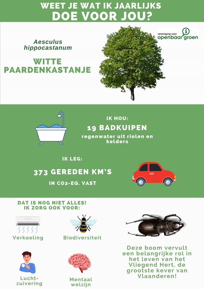 Knap, die boomwaarderingsfiches van VVOG!