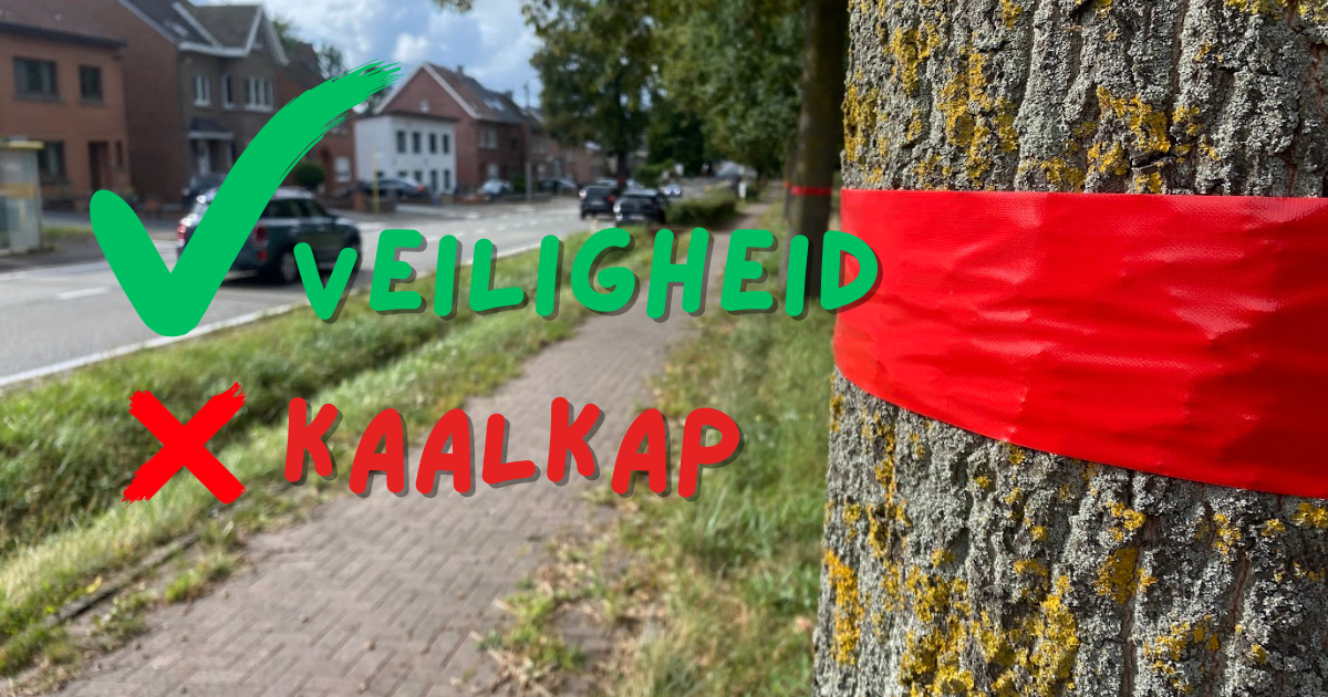 Groen stelt VOOR - Bezwaar tegen bomenkap Ninoofsesteenweg