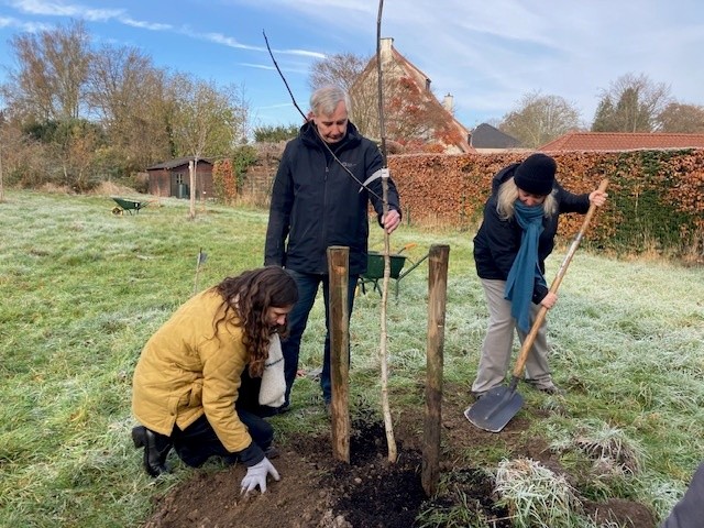 Stad Leuven en Velt planten meer dan 70 notenbomen aan 