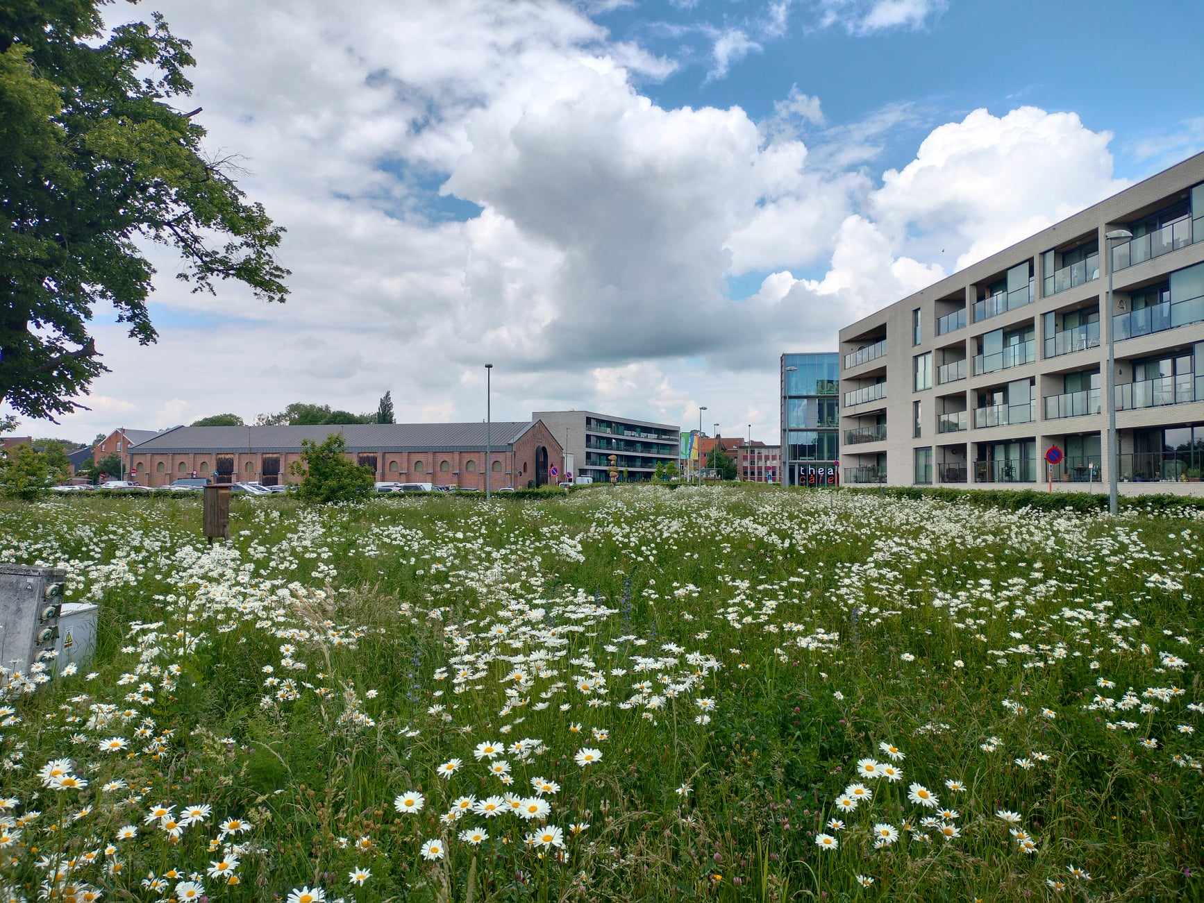 Tienenaar betaalt de prijs, maar voor wat?