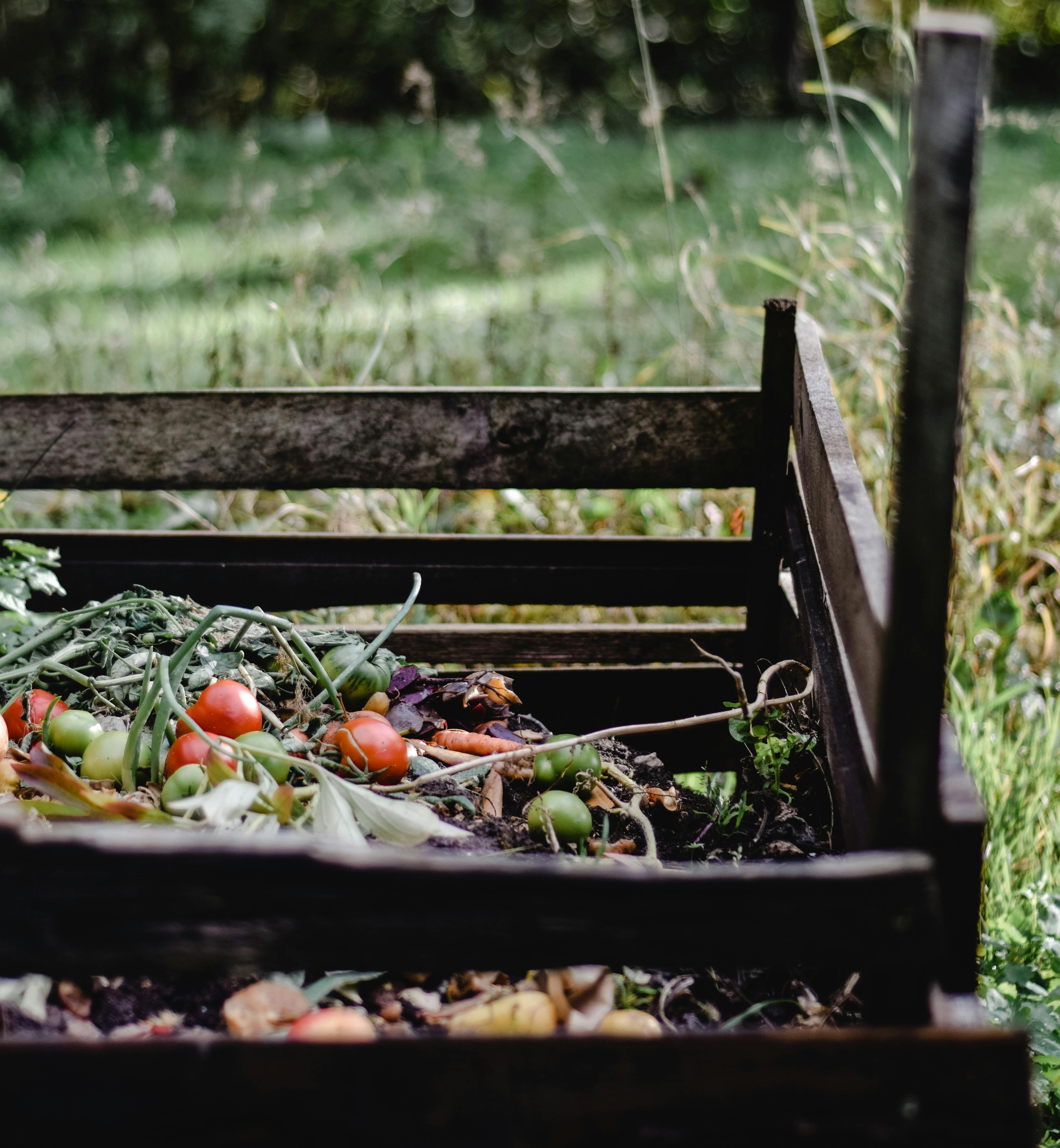 Leer dit voorjaar composteren en moestuinieren