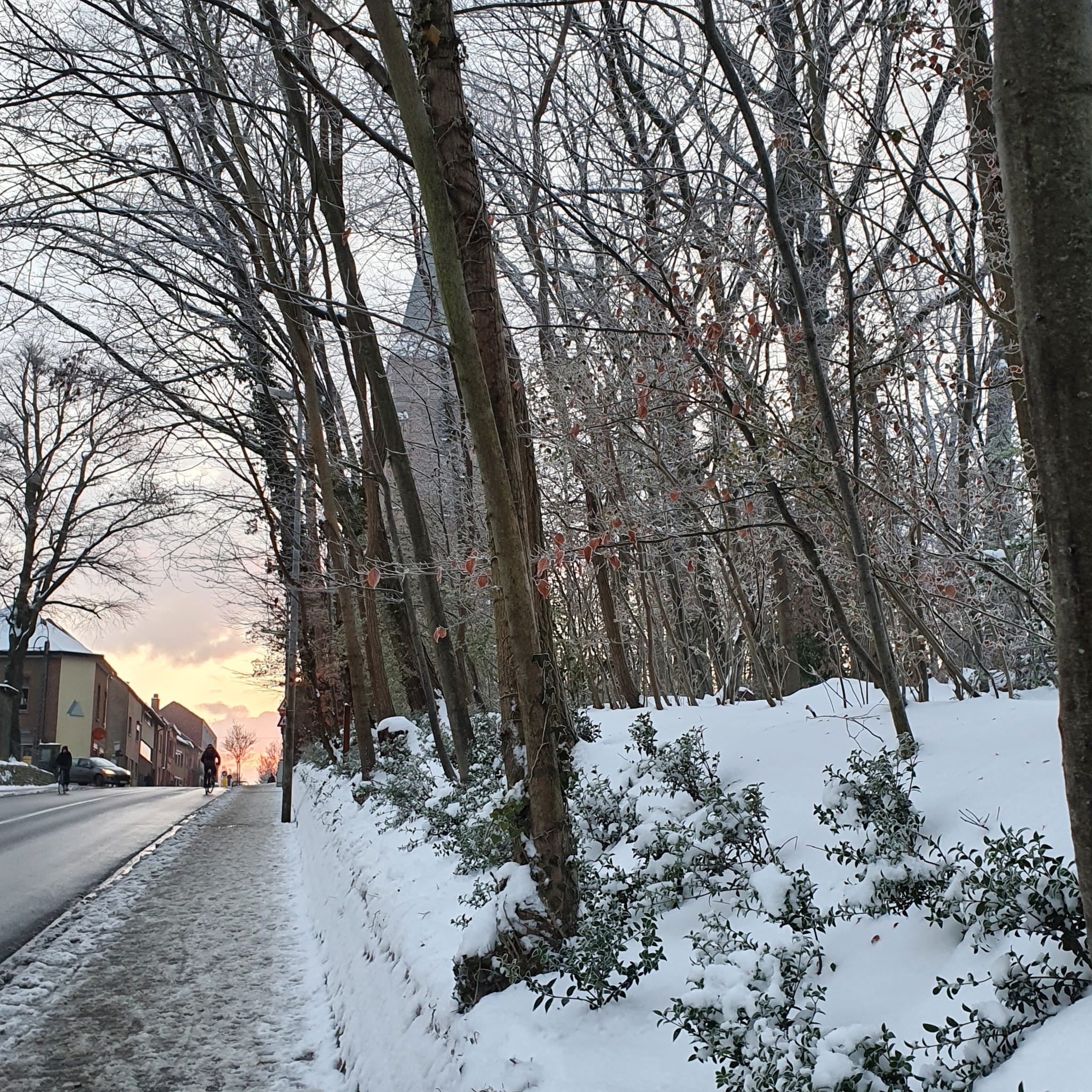 Stad Leuven blikt terug op succesvolle sneeuw- en ijzelbestrijding tijdens voorbije winter