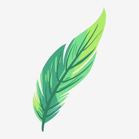 Welke Holsbekenaar wil jij een Groene Pluim op de hoed steken?
