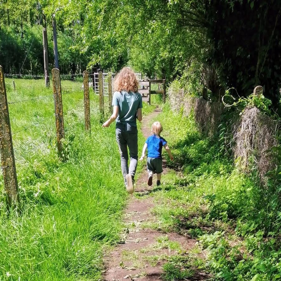 Groen stelt VOOR - Groene zomerwandeling in Pajottegem