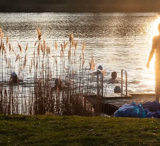Gemeenteraad juni 2025