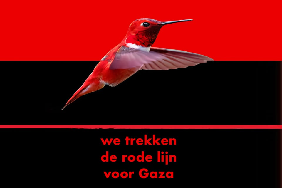 De gemeenteraad van Zedelgem verklaart zich solidair met de bevolking van Gaza