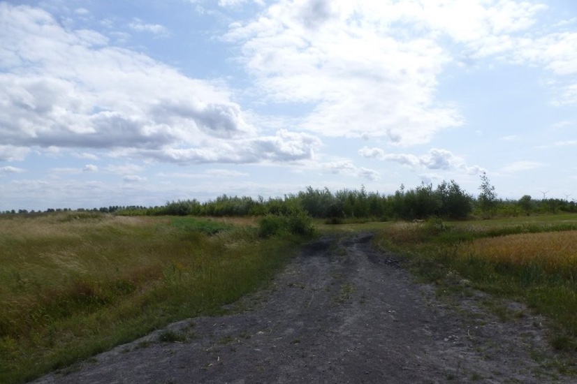 Stadsrandbos : “2 ha nog niet aangekocht”… Reden om te treuzelen?