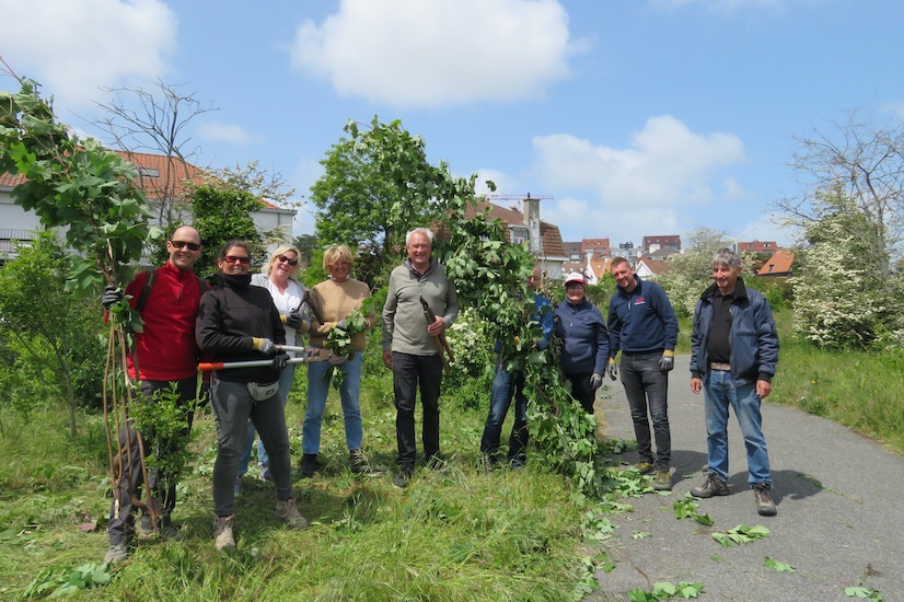 Werkdagen in het Park 58