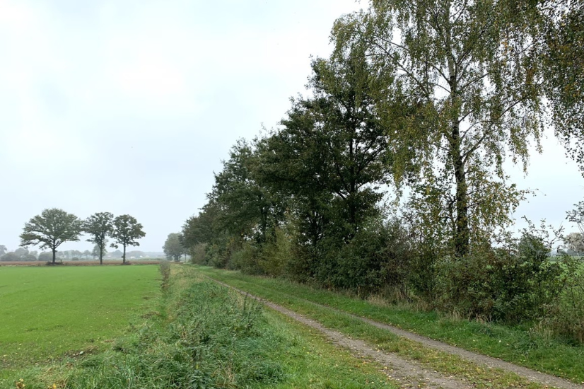 Verdwenen houtkanten