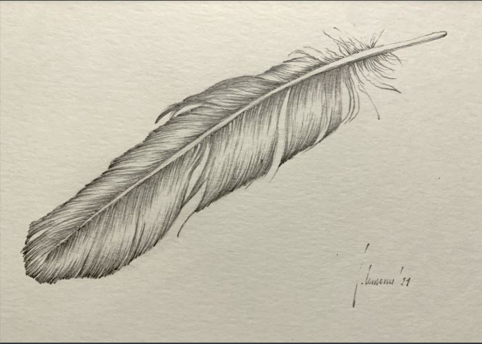 Wie verdient de Groene pluim 2026?