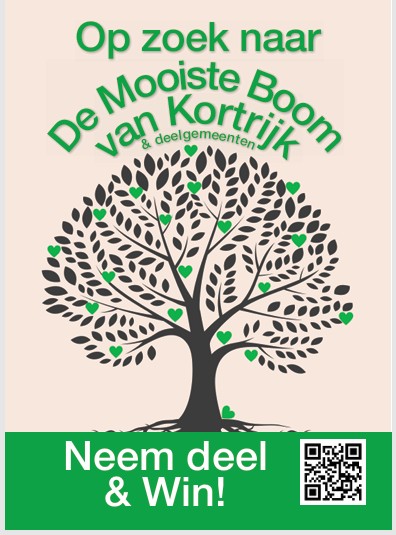 Op zoek naar de mooiste boom