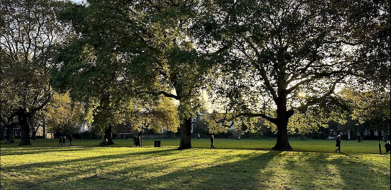 London Fields London Fields