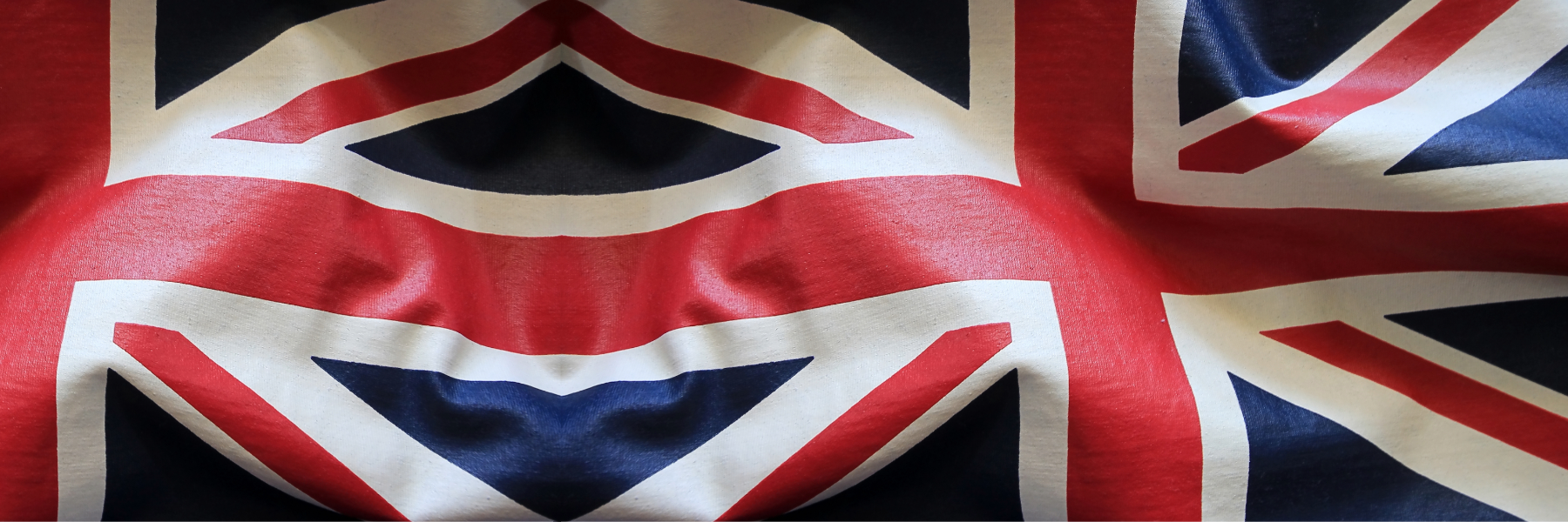 Zoom June 10! British National Health Service: racial and social determinants of Health with Dr. Clarence Spigner