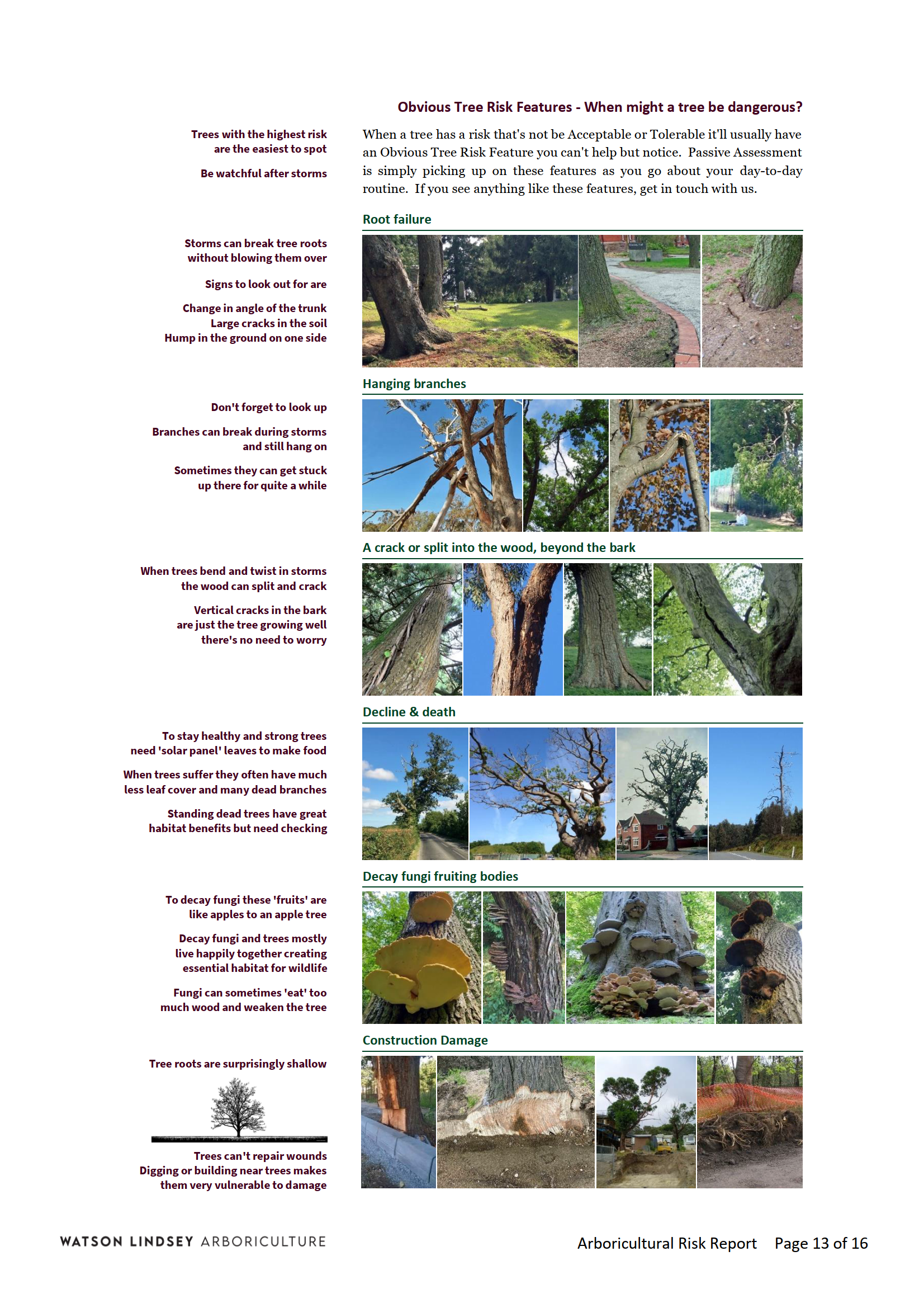Arboricultural_Report_-_230920_HemswellCliffPkDN215XS_13.png