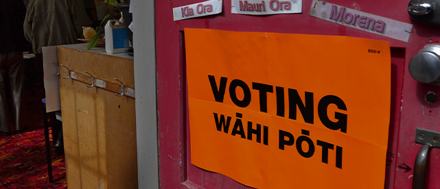 Let New Zealand decide on Māori seats