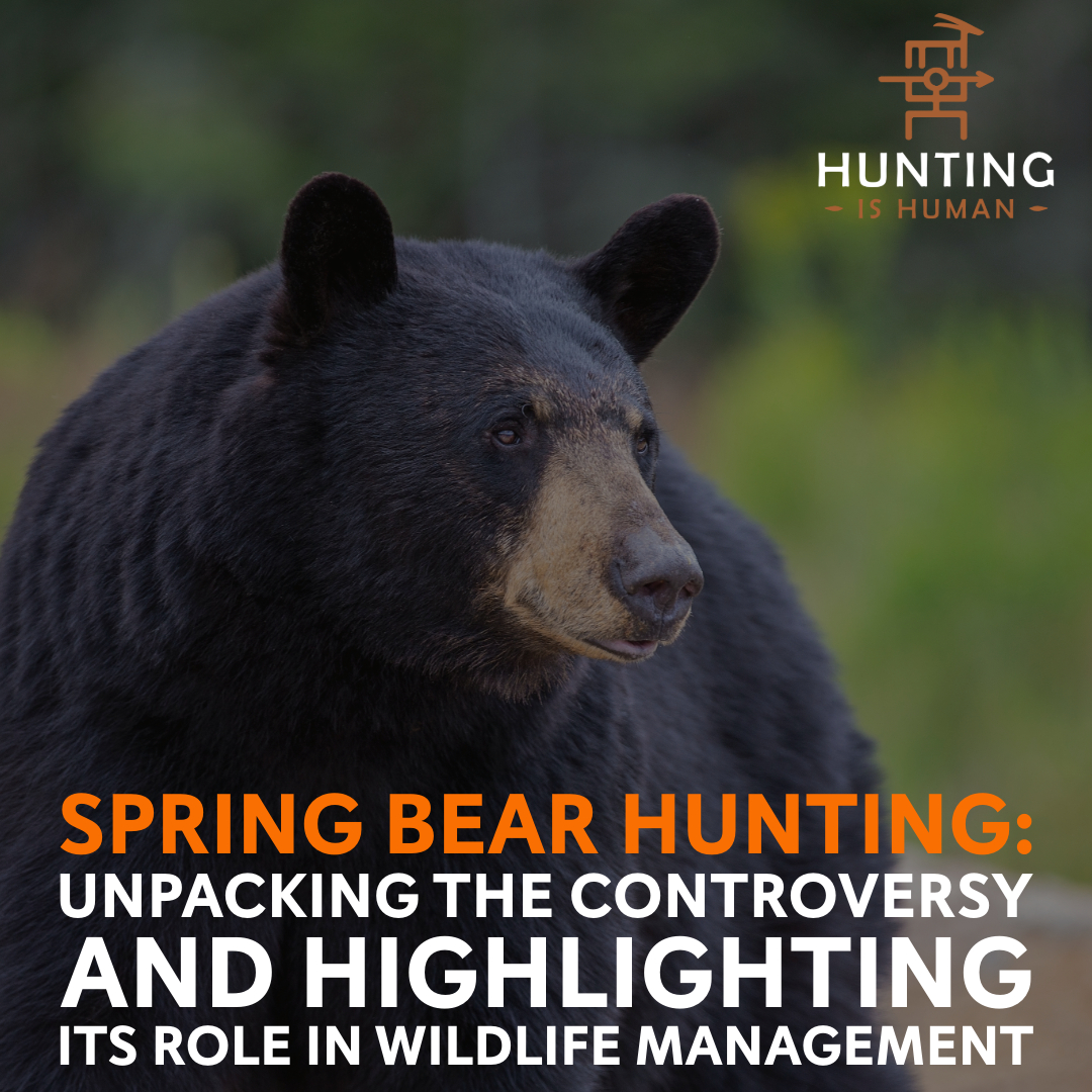 Why Spring Bear Hunting - Howl For Wildlife