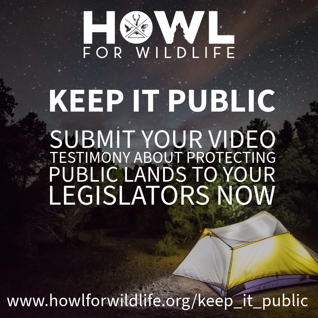 www.howlforwildlife.org