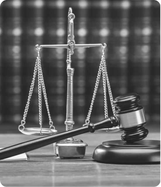 Litigation Support