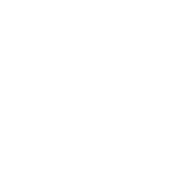 Black Oak Strategy Live