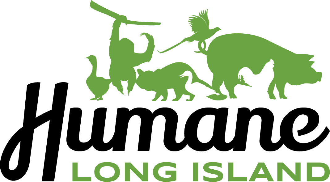 Humane Society International Logo