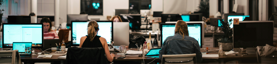 Professional Education