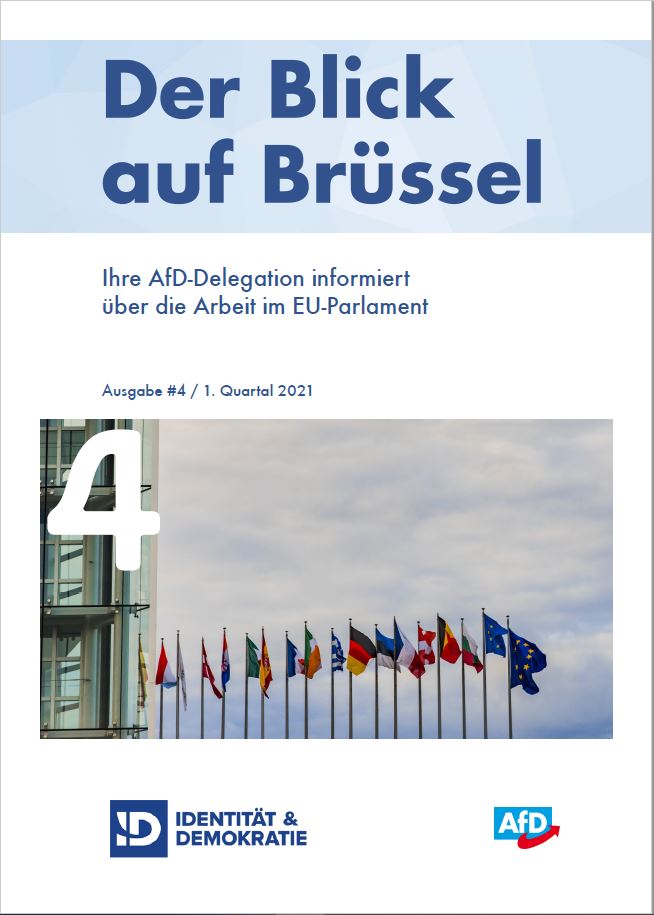 Blick auf Brüssel - Ausgabe 4